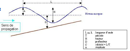 Ondes courtes de la Houle