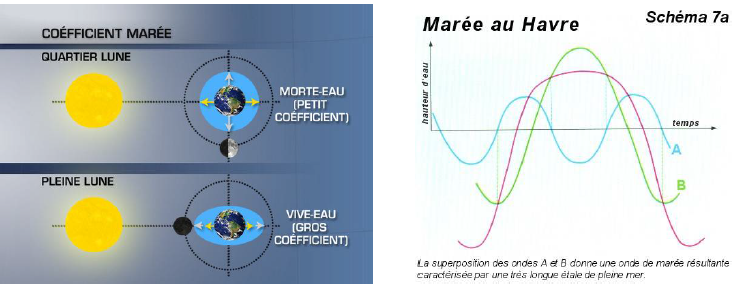 Coefficient de marée