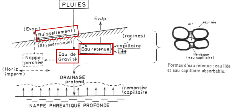 États de l'eau dans le sol