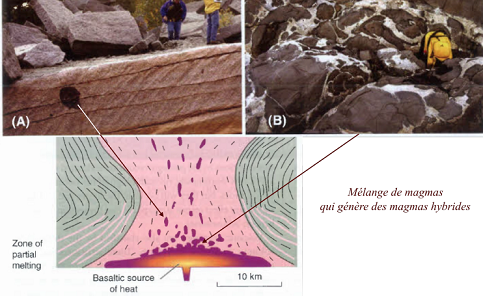 Batholites