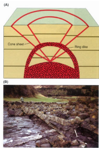 Cones sheets et ring dykes