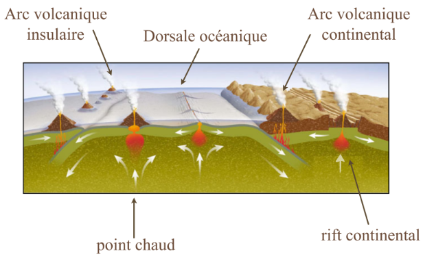 Géodynamique et magmatisme