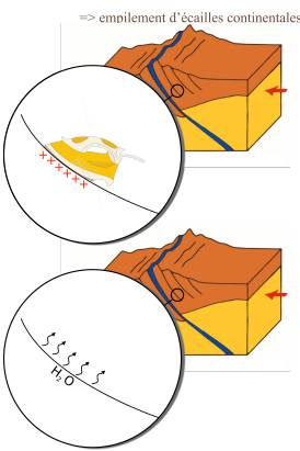 Magmatisme des chaînes de collision